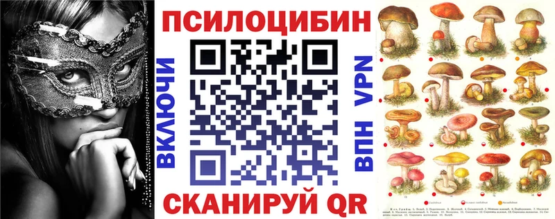 МЕГА   Ефремов  Галлюциногенные грибы мицелий 